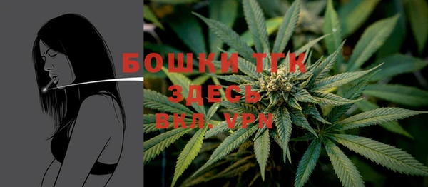 ешки Лагань