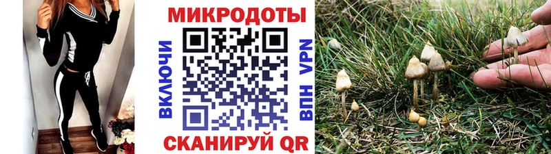 мориарти клад  blacksprut вход  Малгобек  Псилоцибиновые грибы ЛСД 