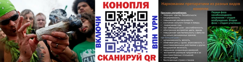 KRAKEN онион  Малгобек  Марихуана индика  сколько стоит 